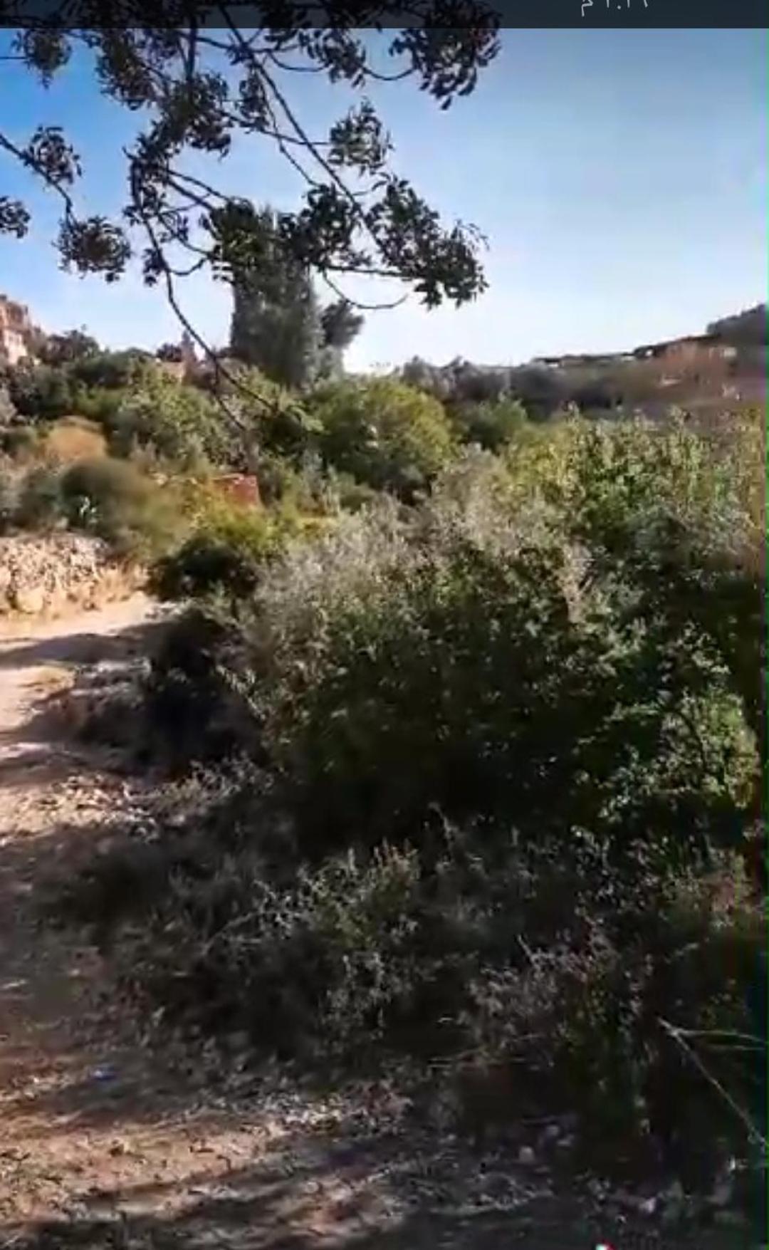 Village Casa de Campo *